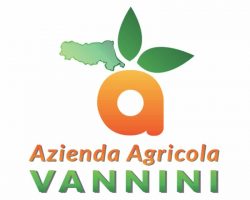 agricola-vannini-faenza-logo-siti-web-ferrara-ecommerce-bologna-seo-adwords-ferrara-digife