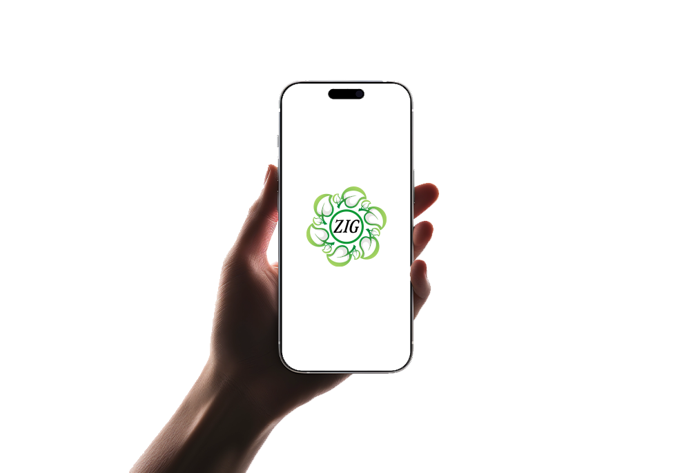 zig app